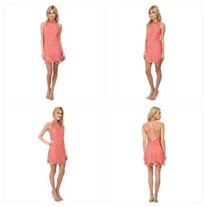 NWOT Free People Pink Snowdrop Lace Trapeze Dress